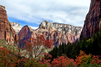 Canyon View, Zion