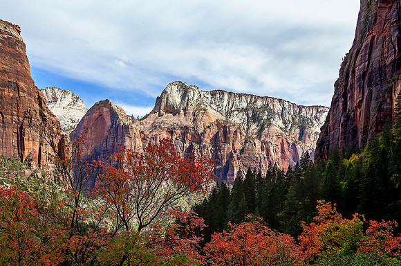 Canyon View, Zion