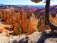 Bryce - Morning View