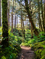 Hobbit Trail