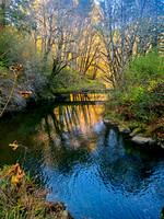 Siletz River Color