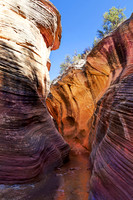 Utah
