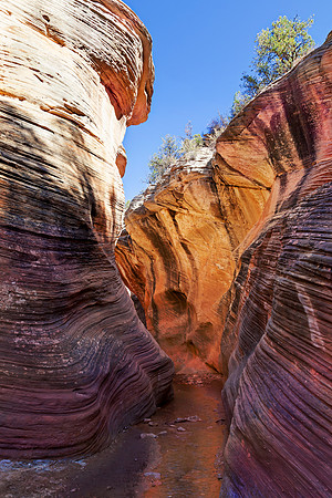 Willis Creek Light