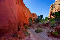 Kodachrome Basin Wash