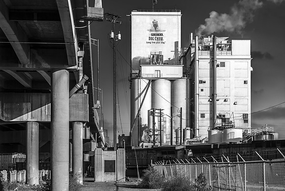 Purina Light