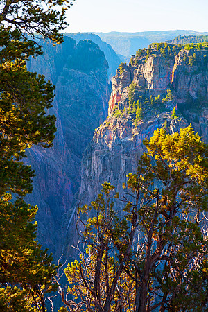Black Canyon Morning