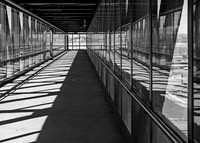 Sunlight and Reflection