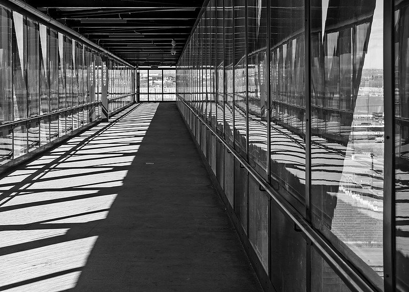 Sunlight and Reflection
