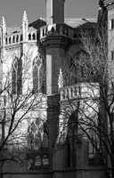 Basilica of the Immaculate Conception